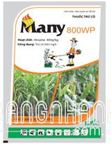  Many 800WP