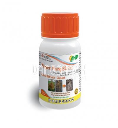 TUYẾN TRÙNG B2