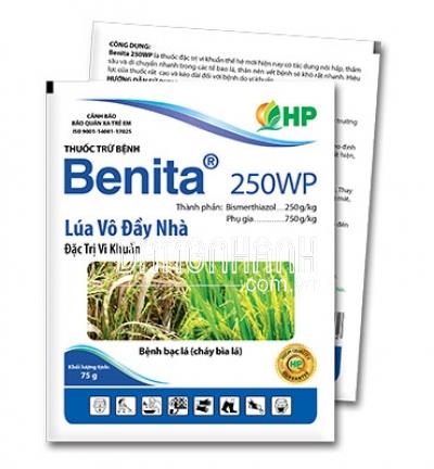 BENITA 250WP
