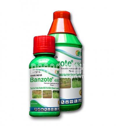 BANZOTE 480SL