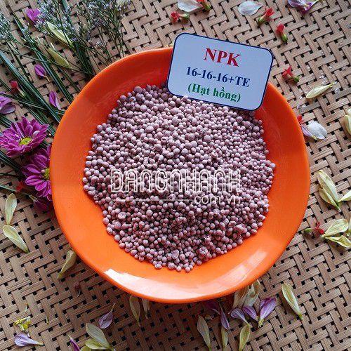 PHÂN BÓN: NPK 16.16.16+TE (CHLB NGA)-HẠT HỒNG
