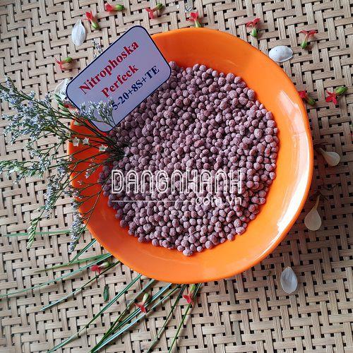 PHÂN BÓN NITROPHOSKA PERFECT (ĐỨC TÍM)