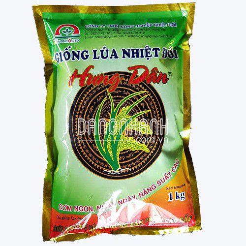 HẠT GIỐNG LÚA: HƯNG DÂN