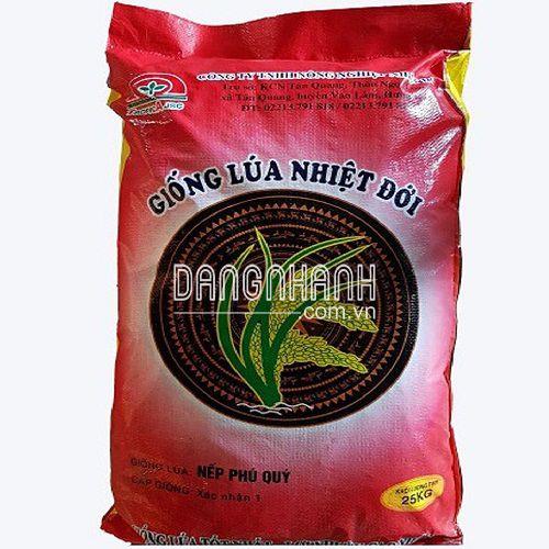 HẠT GIỐNG LÚA: NẾP PHÚ QUÝ
