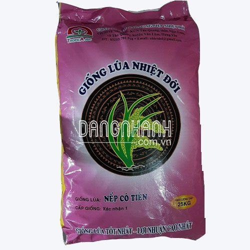 HẠT GIỐNG LÚA: NẾP CÔ TIÊN
