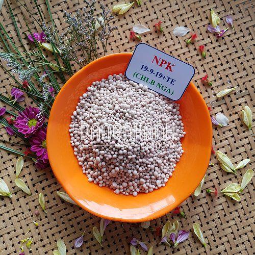 PHÂN BÓN: NPK 19.9.19+TE (CHLB NGA)
