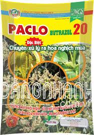 PACLOBUTRAZOL 20WP