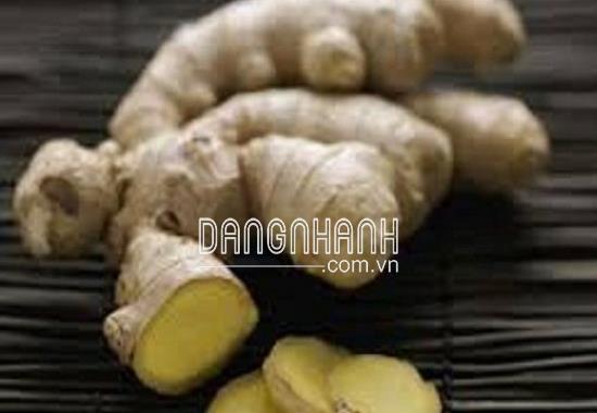 CÂY GỪNG SẺ