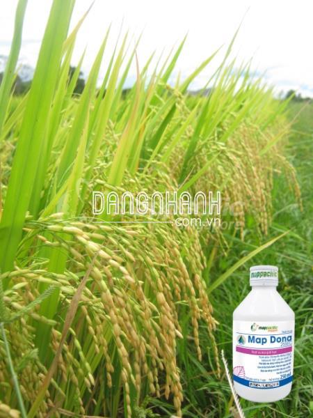 MAP DONA 265EC – VƯỢT XA MỌI GIỚI HẠN