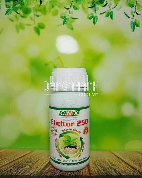 Elicitor 250 – Chuyên trị xì mũ, ghẻ loét trên cây ăn trái