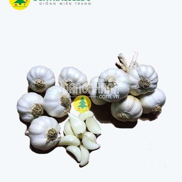 Tỏi Lý Sơn