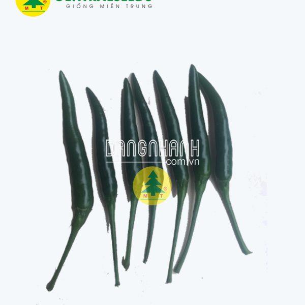 Hạt giống Ớt AD79