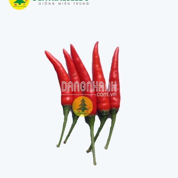Hạt giống Ớt Nun 2074
