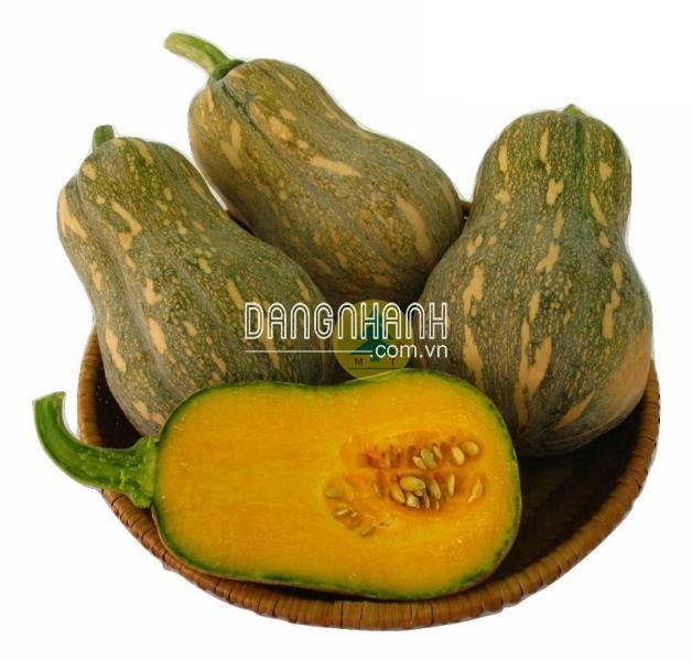 Hạt giống bí đỏ hạt đậu
