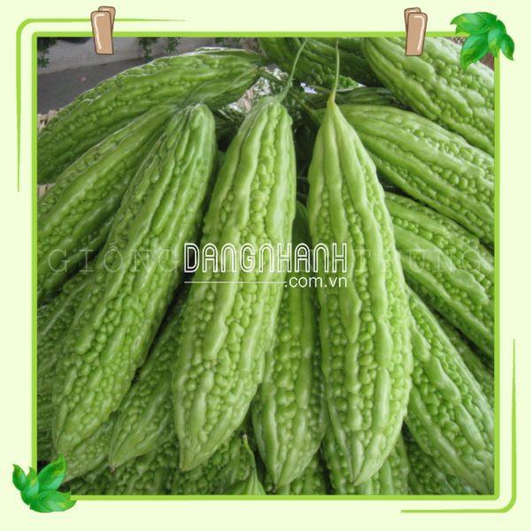 Hạt giống khổ qua trái dài