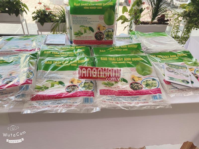 Túi bao trái Bưởi Ánh Dương Thông Dụng 30x30,2cm
