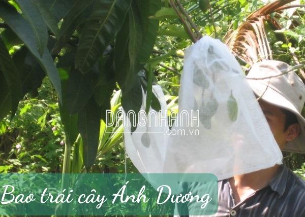 Túi Bao Trái Xoài Ánh Dương KT 22,5x30 cm