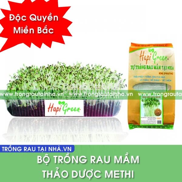 MẦM THẢO DƯỢC METHI