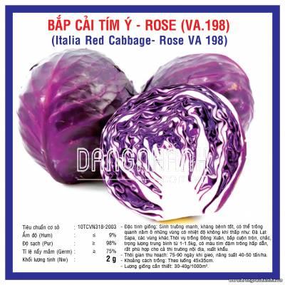 Rau Bắp Cải Tím