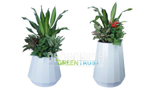Chậu gỗ nhựa Composite 16 cạnh bầu đáy 32 mặt WPL-735