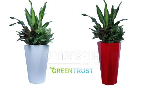 Chậu gỗ nhựa Composite bát giác vát đáy 18 mặt WPL-424