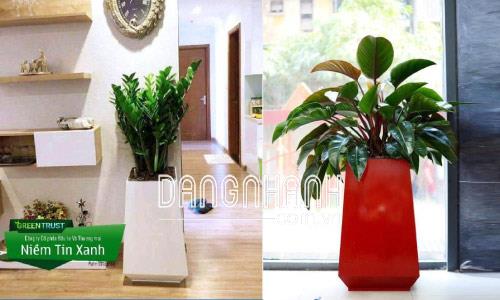 Chậu gỗ nhựa Composite vuông bầu đáy 8 mặt WPL-133