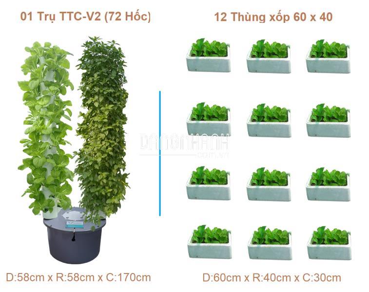 Chậu Trồng Cây Thủy Canh Trụ Đứng