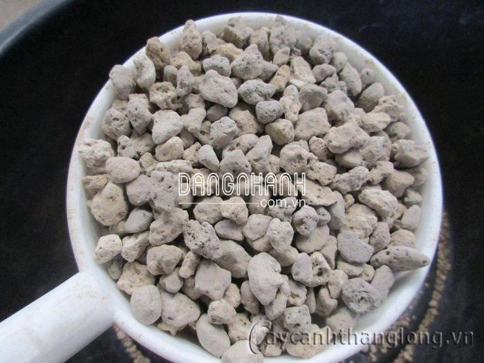 Đá trầm tích
