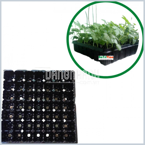 Vỉ Ươm 49 Lỗ Chuyên Dụng