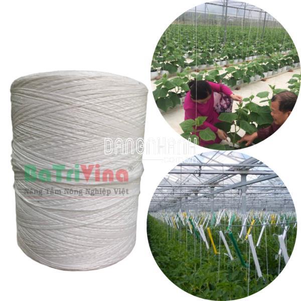 Sợi dây treo trồng dưa (149k/kg) - Nặng 4-6 kg/cuộn,