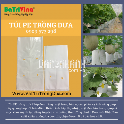 Túi PE 40 x 20 cm Trắng Đen (Kg)