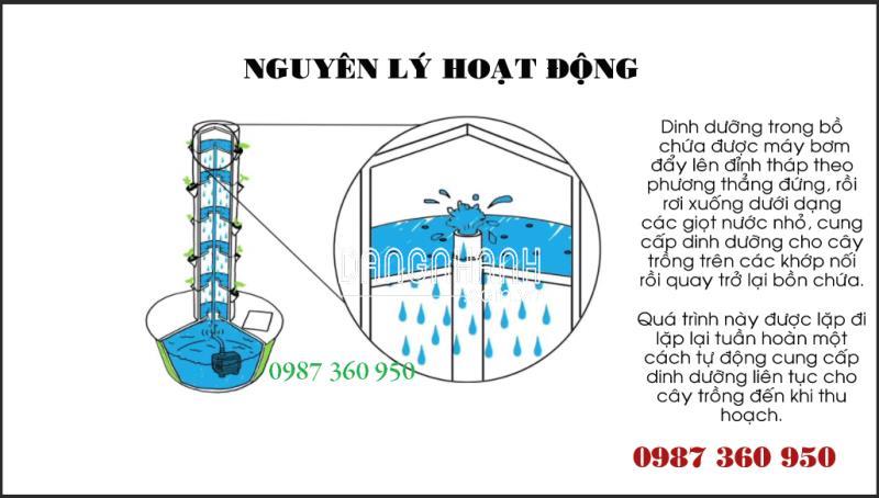 Combo Trụ Cố Định (Full phụ kiện trồng)