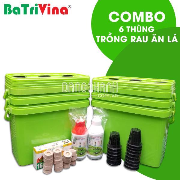 Combo 6 thùng trồng RAU ĂN LÁ - MÀU XANH LÁ(Đầy đủ phụ kiện trồng)