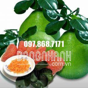 BƯỞI RUBY THÁI LAN