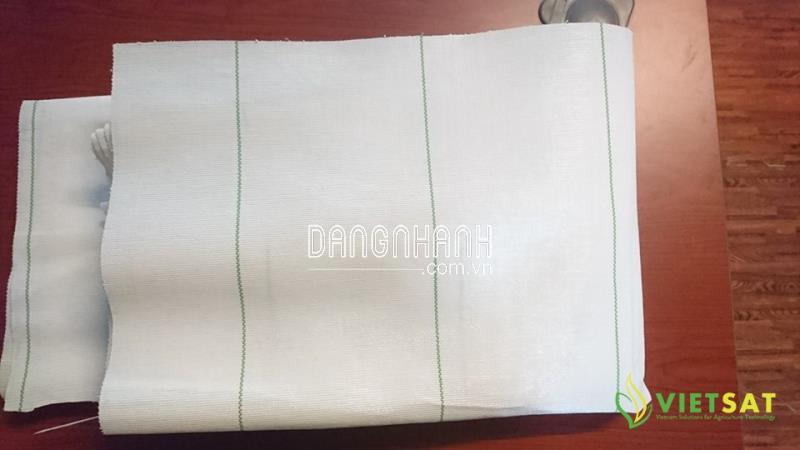 Túi, bạt thảm sàn nhà kính