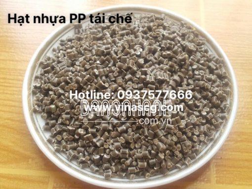 Hạt nhựa PP tái chế