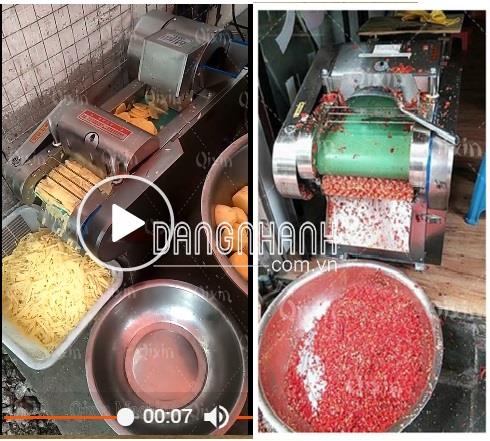 MÁY THÁI RAU CỦ QUẢ