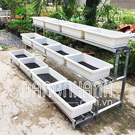 Kệ trồng rau TC12