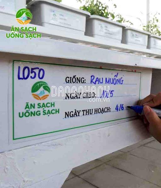Miếng dán định danh chậu