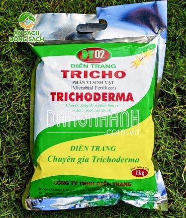 Phân vi sinh vật Trichoderma