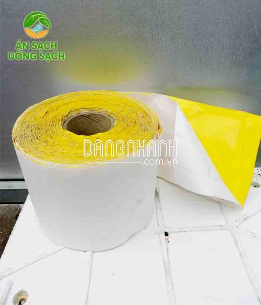 Bẫy công trùng