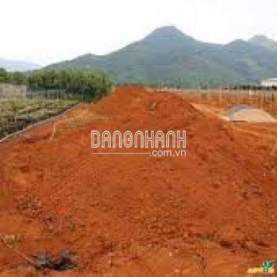 Đất Bazan nguyên chất