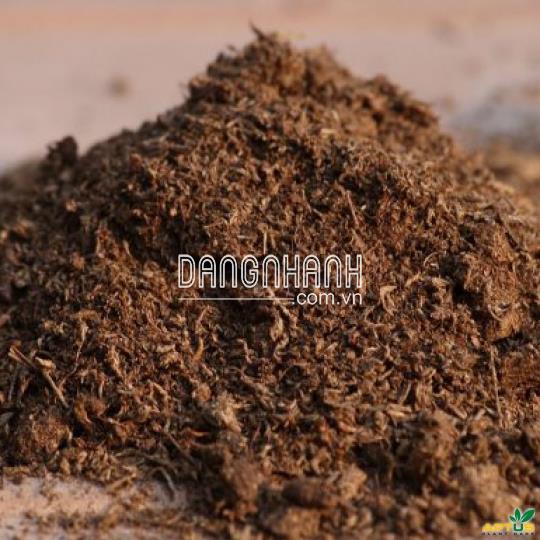 Phân Bò Khô Trồng Rau