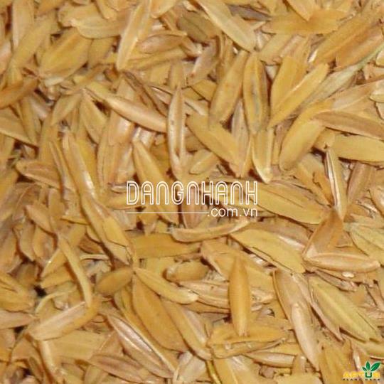 Vỏ Trấu Trồng Rau