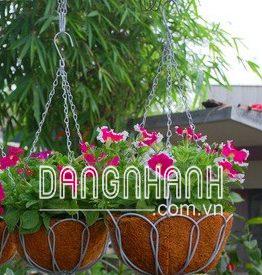 Chậu xơ dừa treo