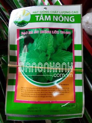 Húng Bạc Hà