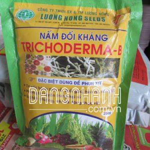 Nấm đối kháng