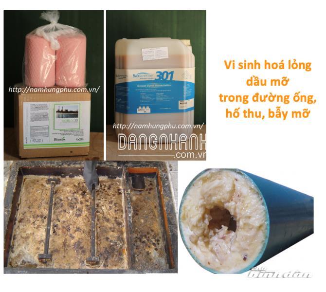BioStreme301 – Vi sinh xử lý, hoá lỏng dầu, mỡ trong đường ống