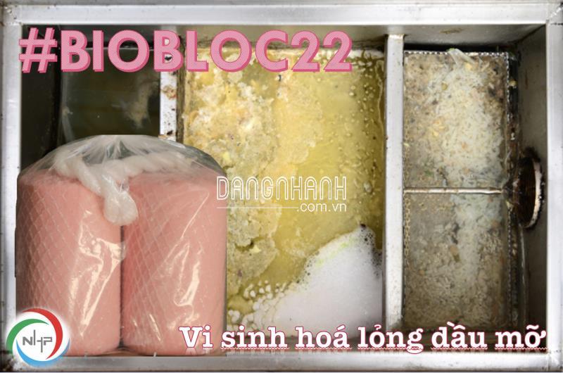 Biobloc22 Men vi sinh xử lý dầu mỡ trong bẫy mỡ, hố thu