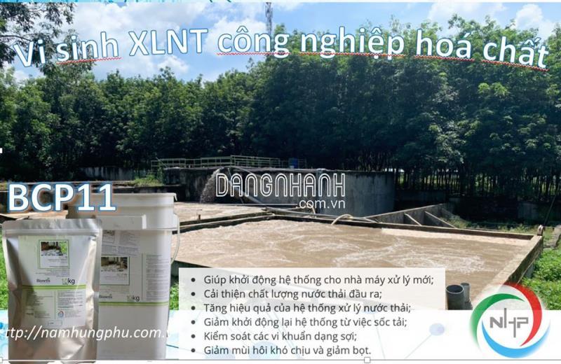 BCP11 men vi sinh xử lý nước thải dệt nhuộm 